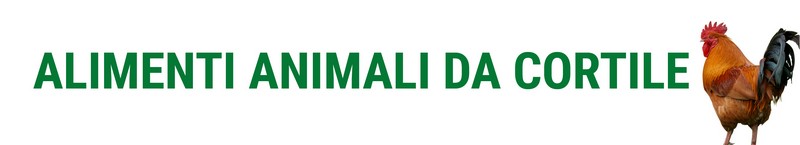 PRODOTTI  ANIMALI DA CORTILE